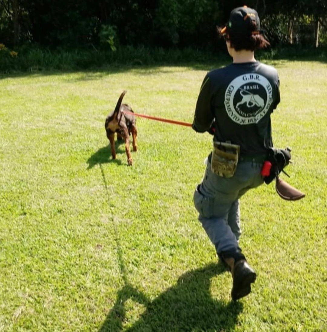 A person wearing a GBR uniform handling a dog in a grassy area.